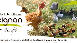 Photo n°1 de Meignan Guillaume à Marigné-Peuton (Élevage de volailles)