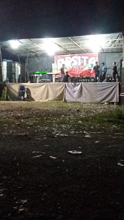 Photos of Pertelon AE