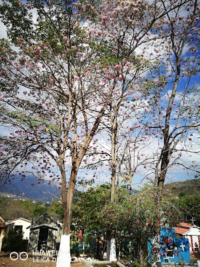 Photos of Camot&aacute;n Central Park