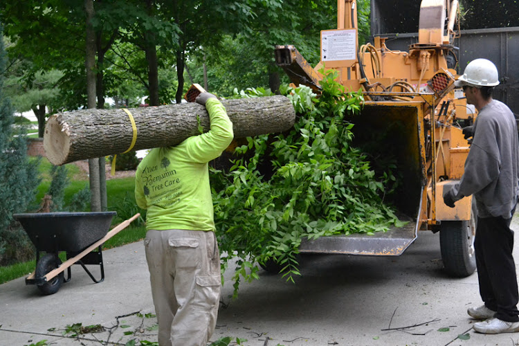 Allen Benjamin Tree Care Inc.
