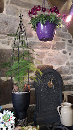 Photo n°33 de L'atelier floral à Beauchamps (Fleuriste)