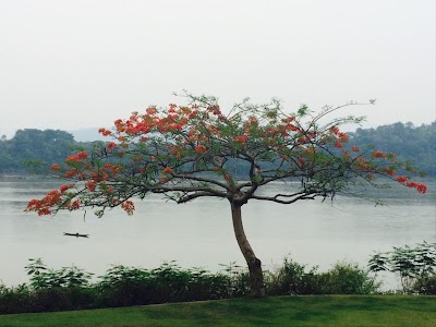 Photos of Mekong Estate Residence