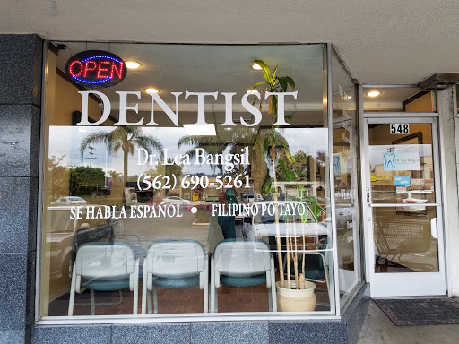 Smile Big Dentistry - Dr. Lea Bangsil DMD - Thumbnail