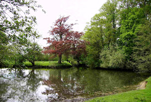 Photo n°11 de La Ferme de Wolphus - Activité Gîtes et Meublés de Tourisme - PAS DE CALAIS à Zouafques (Appartement de vacances)