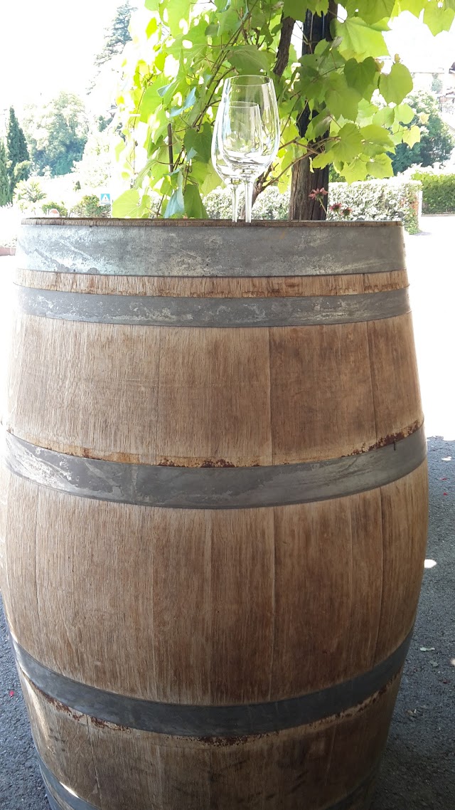 Ritterhof Weingut - Tenuta