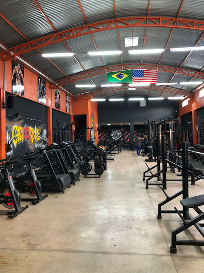 Tiger Gym Academia