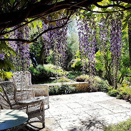 Photo n°10 de Appolo Jardins à Grasse (Jardinier)