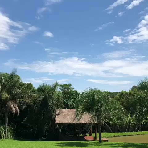 Hostel Nature by null