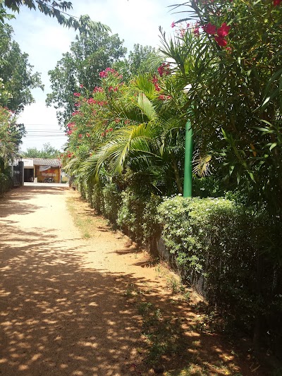 Photos of Nillas Guest
