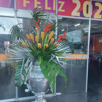 Fátima Flores - Floricultura em Fortaleza