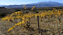 Domaine Boucabeille à Corneilla-la-Rivière