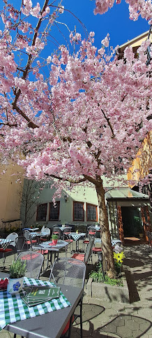 Hotel-Gasthof Goldener Greifen by null