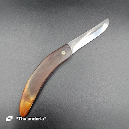 Photo n°18 de Thalanderia à Saint-Georges-la-Pouge (Atelier de réparation d'outils)