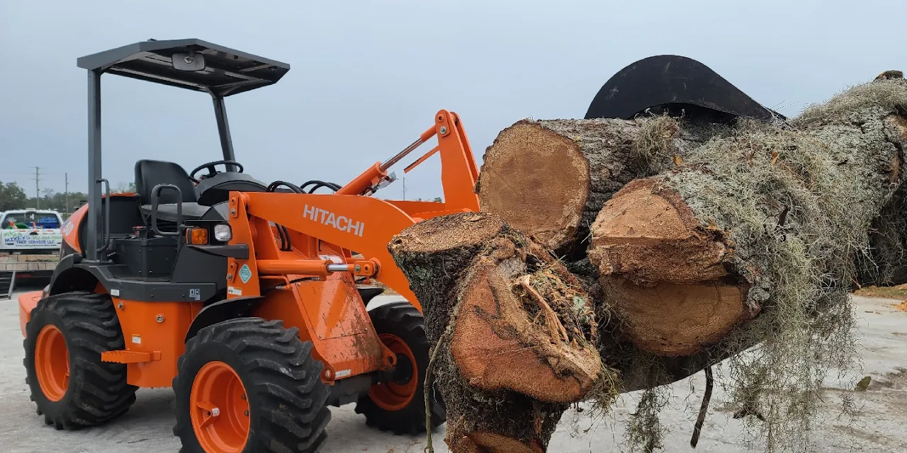 Mikeys Tree Service
