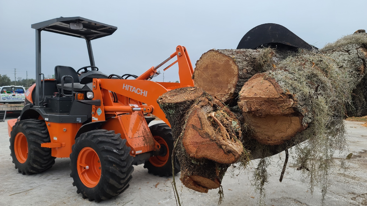 Mikeys Tree Service