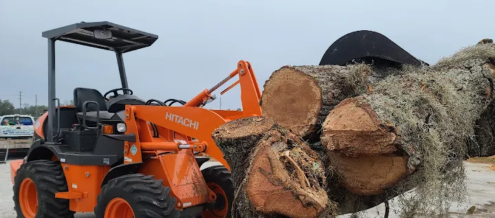 Mikeys Tree Service