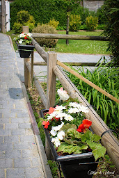 Photo n°67 de Camping La Sablière du Mont Noir à Saint-Jans-Cappel (Terrain de camping)