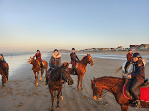 Photo n°29 de Haras des Frenchwords à Fleury-sur-Orne (Centre équestre)