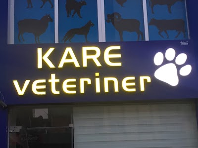 Photos of Kare Veteriner