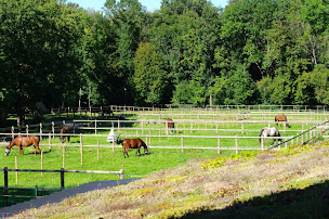 Photo n°17 de Toit végétalisé à Sermersheim (Fournisseur de matériaux de construction)