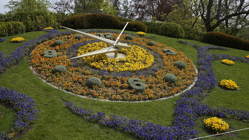 KIZIL Zulassungsdienst & Fahrzeugankaufsstation