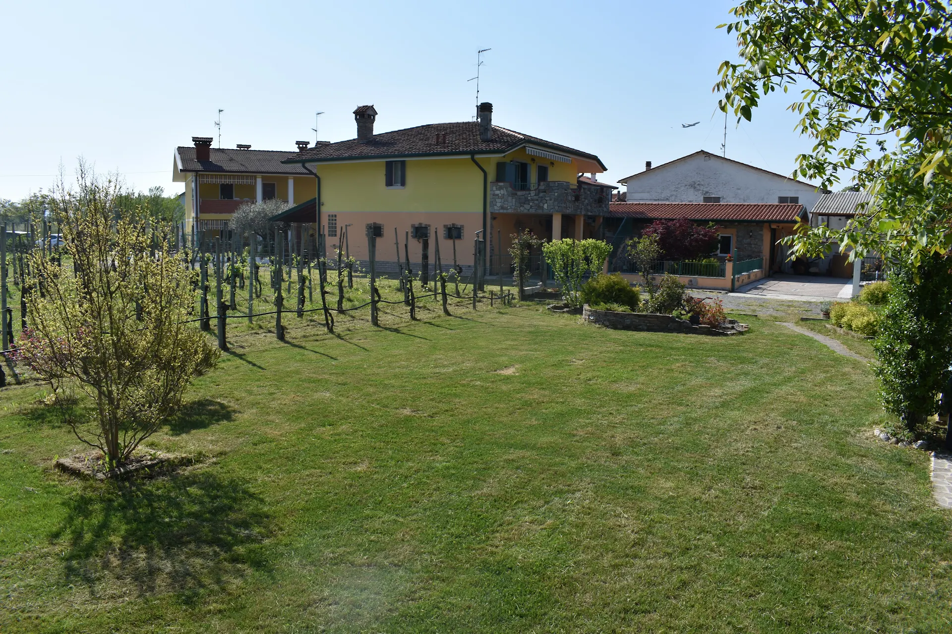 La Vigneta del Noval B&B
