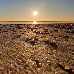 Photo n°8 de La maison de la plage des tonnelles à Saint-Jean-de-Monts (Maison de vacances)