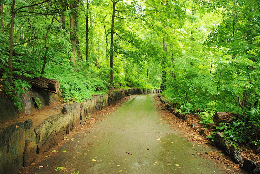 Experience The Heights-High Bridge Tours