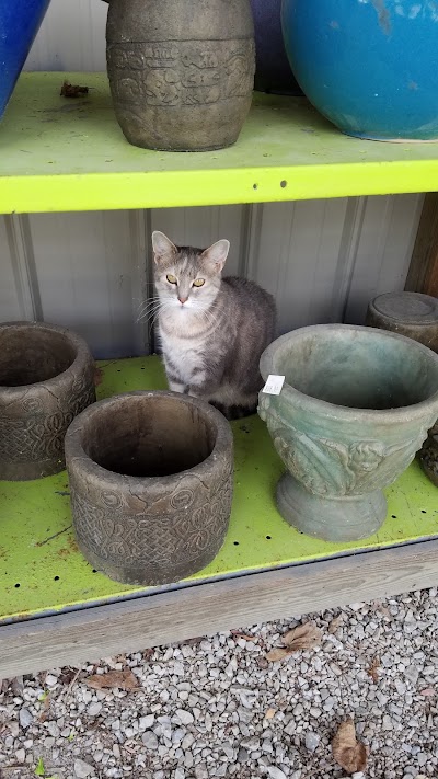 Photos of Marion's Greenhouse