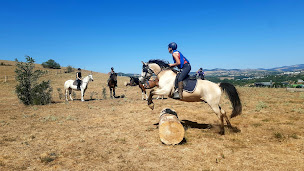 Photo n°5 de Charlotte Pantos - Ferme équestre éthologique & pédagogique à Bessenay (Centre de randonnée équestre)