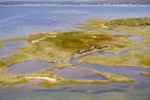 Photo n°24 de Dou' Bassin Evasion à Audenge (Agence d'excursions en bateau)