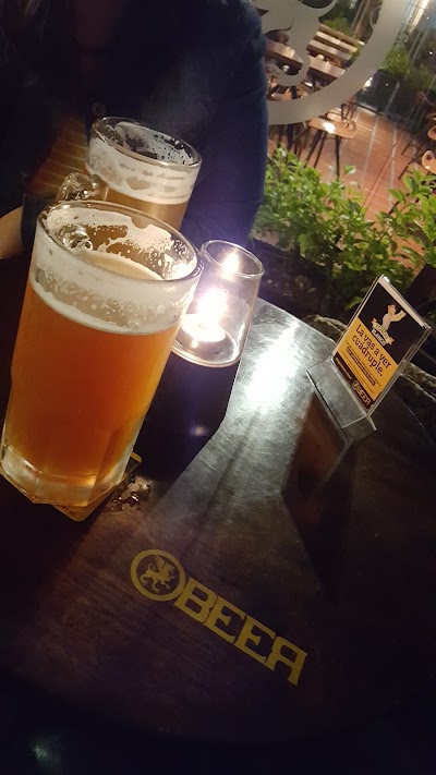 Photos of Pub Beer