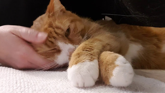 Terslev Skolevej 15, 4690 Haslev