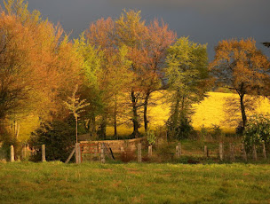 Photo n°18 de Ecole de Magnétisme F.Louvet à Le Fresne-Poret (Centre de formation)
