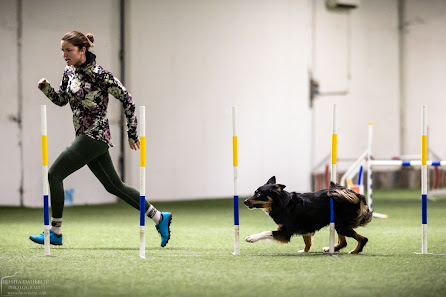 Sabinas Agility Fällersta 334, 705 94 Örebro, Sverige
