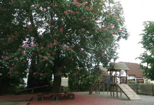 Hausacker Kindergarten