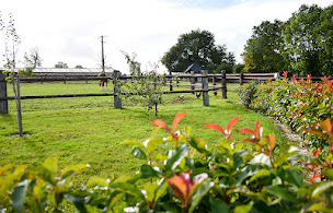 Photo n°1 de Centre Equestre des Pommiers à Landes-sur-Ajon (Centre équestre)