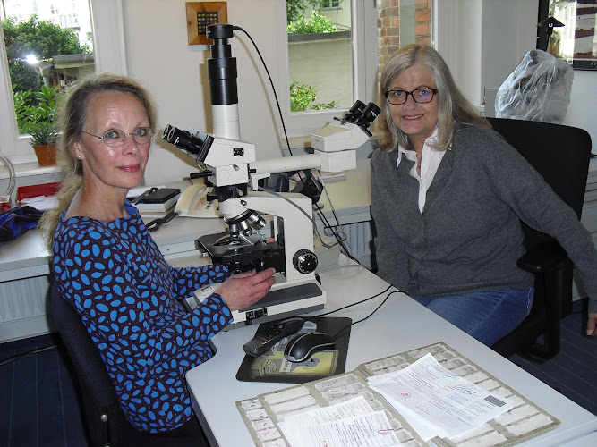 MVZ Pathologie Hildesheim Hannover-Zentrum GmbH