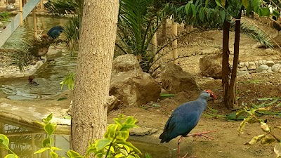Photos of Bird Garden