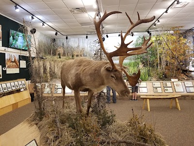 North American Bear Center