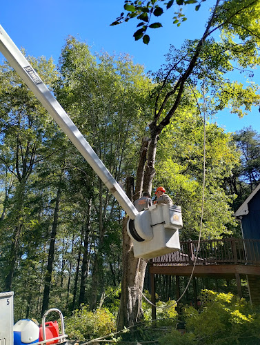 Hillbilly Tree Service (Sales Office)