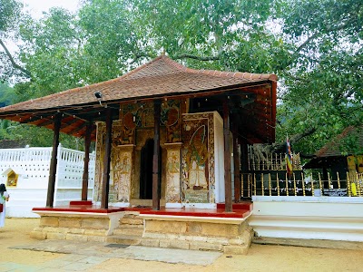Photos of Udawatta Kele Sanctuary