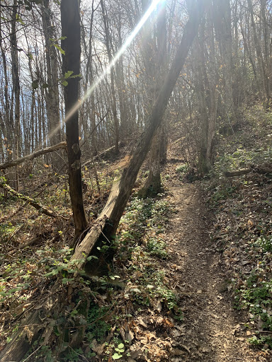 Monte Orma - Visual