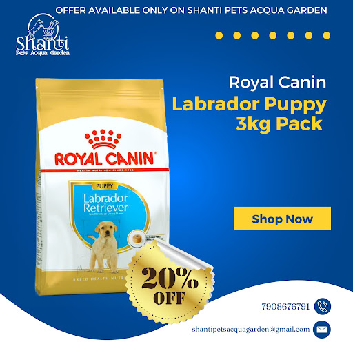 ROYAL CANIN LABRADOR RETRIEVER PUPPY 3KG post image