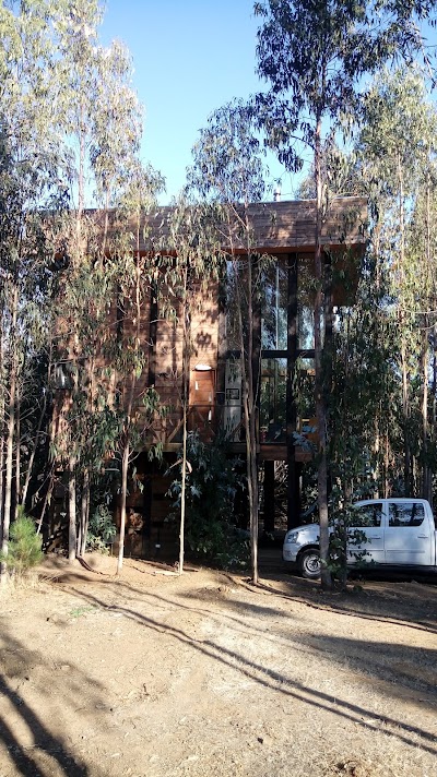 Photos of Tripanko Lodge & Bungalows