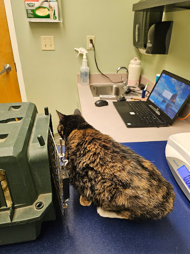 Ani-Mall Pet Hospital Gallery - United States