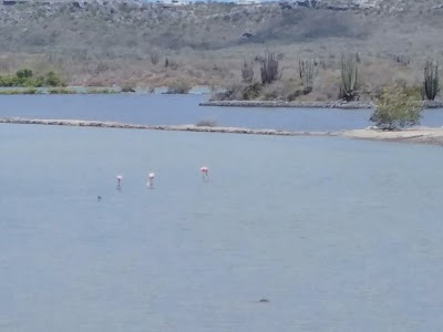 Photos of Salt Lake Willembrordus