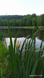 Photo n°11 de Camping du Plan d'Eau à Céaux-d'Allègre (Terrain de camping)