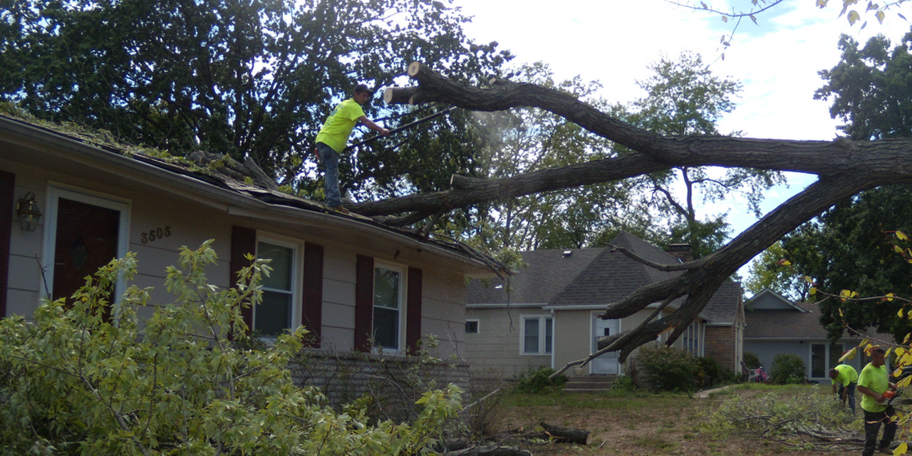 Eden Tree Service