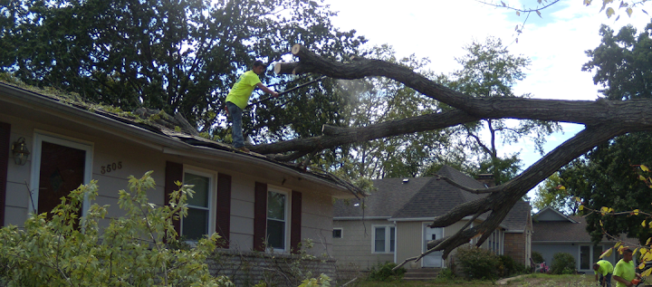 Eden Tree Service